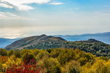 Similar image 21104066