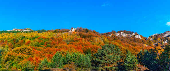 Similar image 21104070