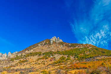 Similar image 21104074