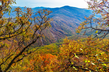 Similar image 21104076