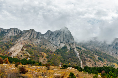 Similar image 21104082