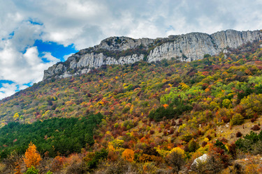 Similar image 21104084