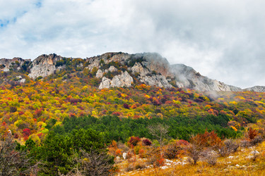 Similar image 21104085