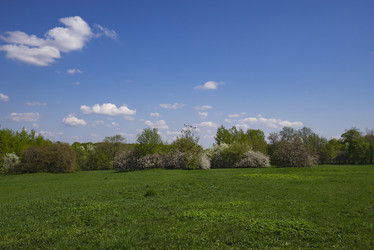 Similar image 21102816