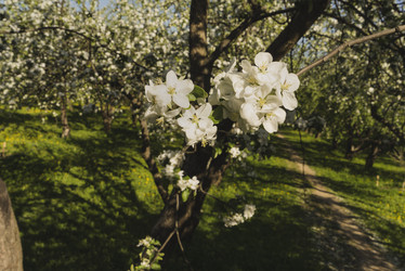 Similar image 21102819