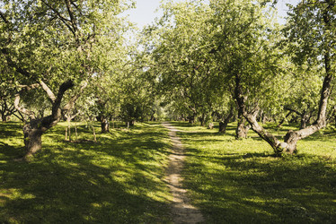 Similar image 21102821