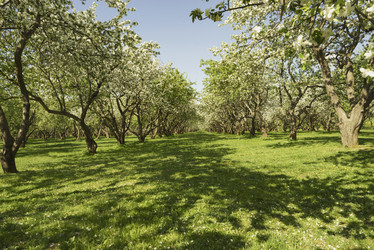 Similar image 21102823