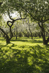 Similar image 21102825