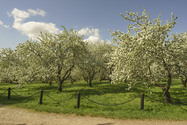 Similar image 21102827