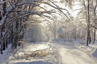 Similar image 21102828