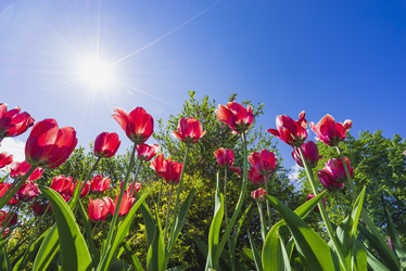 Similar image 21102829