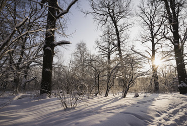 Similar image 21102831