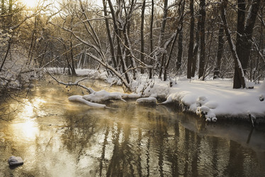 Similar image 21102832