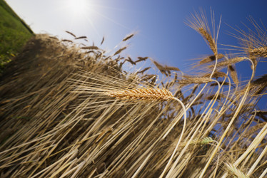 Similar image 21102834