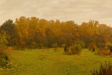 Similar image 21102835