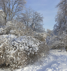 Similar image 21102836