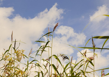 Similar image 21102837