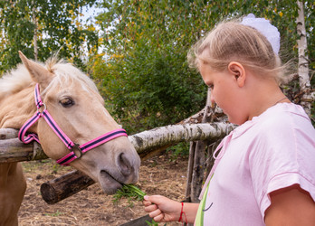 Similar image 21102839