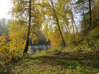 Similar image 21106363