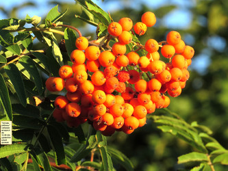 Similar image 21106364