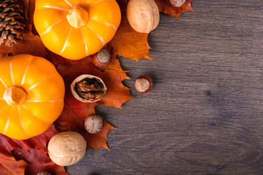 Similar image 21102842