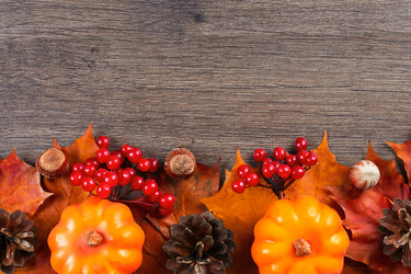 Similar image 21102843