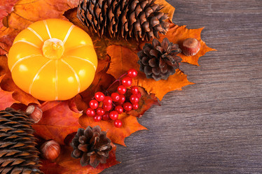 Similar image 21102844