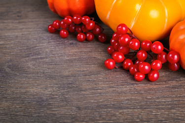 Similar image 21102846