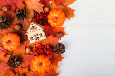 Similar image 21102847