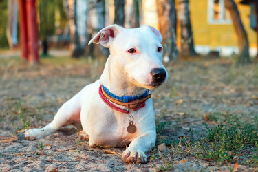 Similar image 21102850