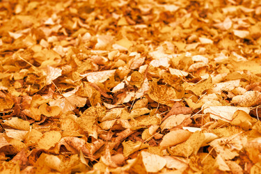 Similar image 21102851