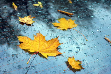 Similar image 21102852