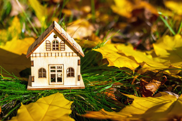 Similar image 21102855