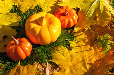 Similar image 21102857