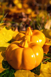 Similar image 21102858