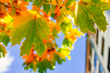 Similar image 21102859