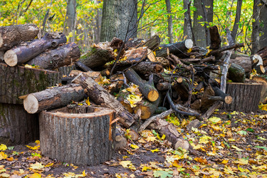 Similar image 21102860