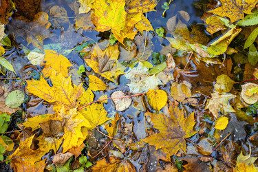 Similar image 21102861