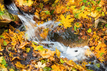 Similar image 21102862