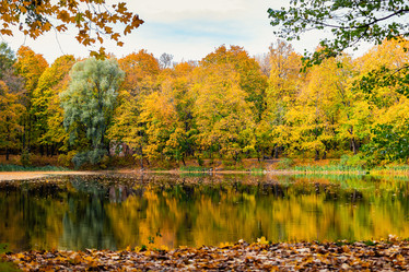 Similar image 21102863