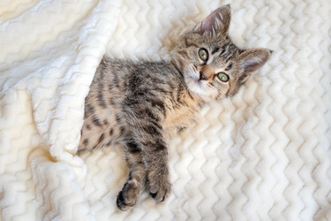 Similar image 21102864