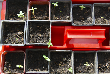 Similar image 21105144