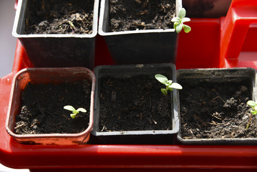 Similar image 21105145