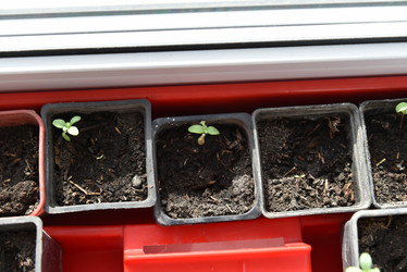 Similar image 21105146