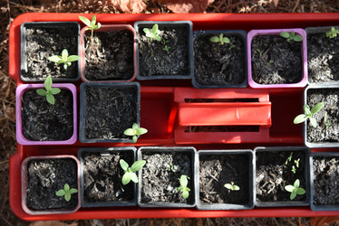 Similar image 21105171