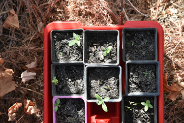 Similar image 21105172