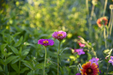 Similar image 21105181