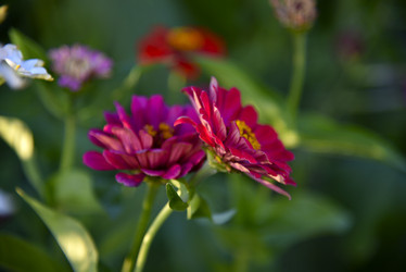 Similar image 21105182