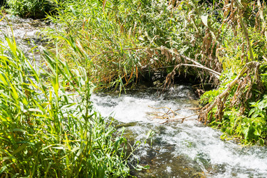 Similar image 21106371