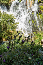 Similar image 21106374